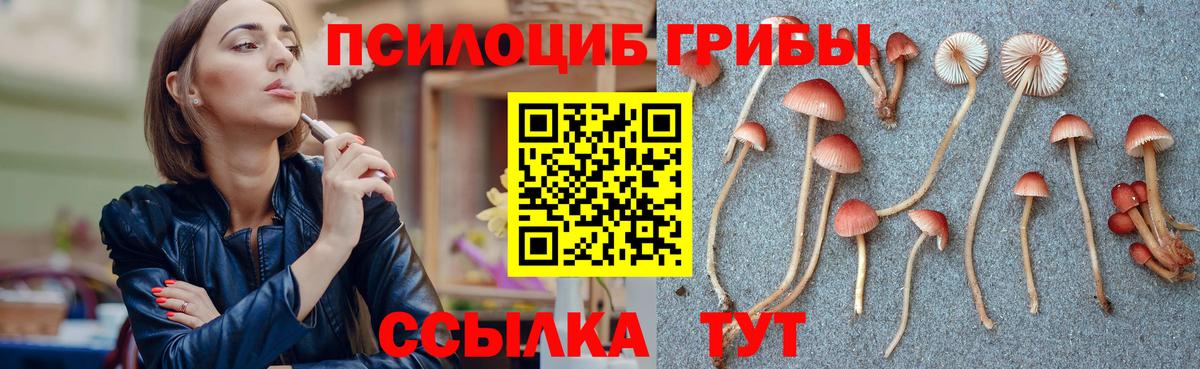Псилоцибиновые грибы Psilocybe  Псилоцибиновые грибы Psilocybine cubensis  Вход с VPN  Каменка 