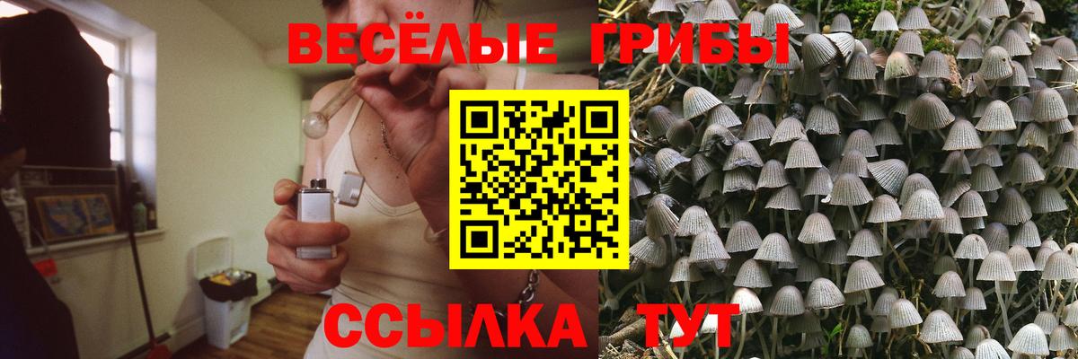 Псилоцибиновые грибы Psilocybine cubensis Каменка